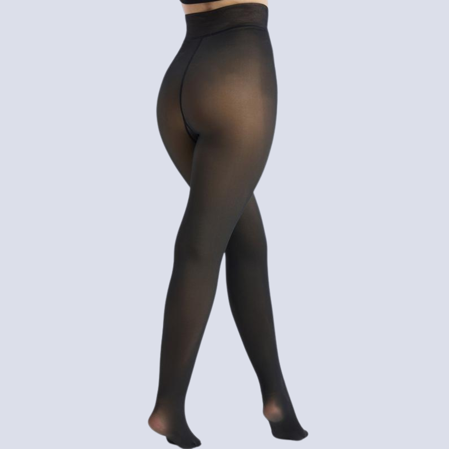 Sheer Fleece Lined Tights